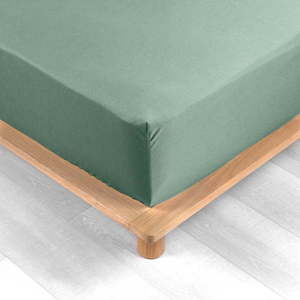Zelené napínací prostěradlo z bavlněného perkálu 160x200 cm Percaline – douceur d'intérieur obraz