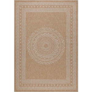 Venkovní koberec v přírodní barvě 160x230 cm Dhaka – Ayyildiz Carpets obraz