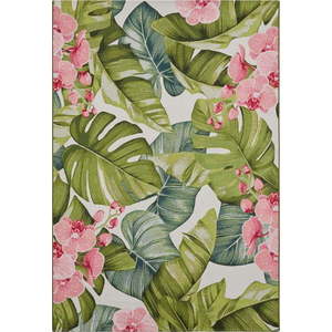Venkovní koberec 80x165 cm Flair – Hanse Home obraz