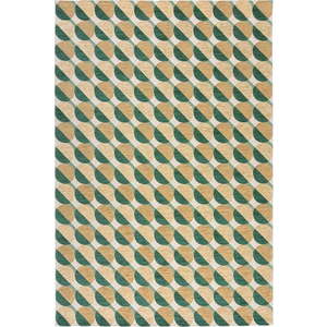 Žluto-zelený koberec 155x230 cm Carlos Circle Geo – Flair Rugs obraz