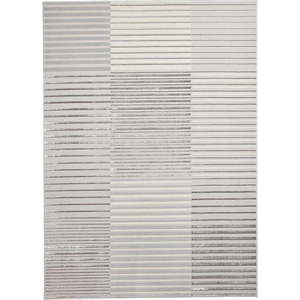 Šedý/béžový koberec 220x160 cm Apollo - Think Rugs obraz