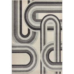 Šedo-béžový koberec 200x290 cm Nova Retro Grey – Asiatic Carpets obraz