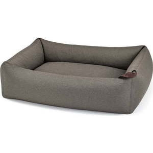 Hnědý pelíšek pro psa 65x80 cm Mare Kelp S/M – MiaCara obraz