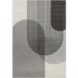 Šedý koberec 230x160 cm Muse - Asiatic Carpets obraz