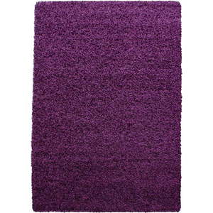 Tmavě fialový koberec 140x200 cm Life – Ayyildiz Carpets obraz