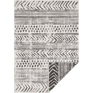 Černo-krémový venkovní koberec NORTHRUGS Biri, 200 x 290 cm obraz