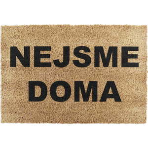 Rohožka z kokosového vlákna 40x60 cm Nejsme Doma – Artsy Doormats obraz