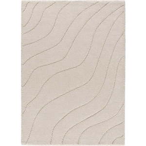 Krémový koberec 160x230 cm Molier – Universal obraz