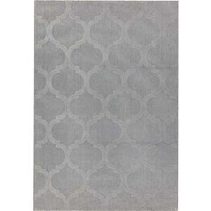 Šedý koberec Asiatic Carpets Antibes, 120 x 170 cm obraz