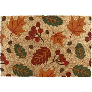 Rohožka z kokosového vlákna 40x60 cm Autumn Leaves – Artsy Doormats obraz