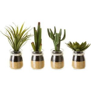 Umělé rostliny v sadě 4 ks (výška 18 cm) Cactus – Casa Selección obraz