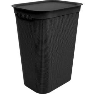 Plastový koš na prádlo 50 l Brisen - Rotho obraz