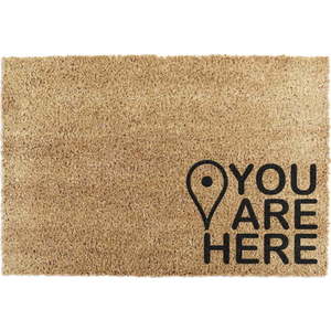 Rohožka z kokosového vlákna 40x60 cm You Are Here – Artsy Doormats obraz