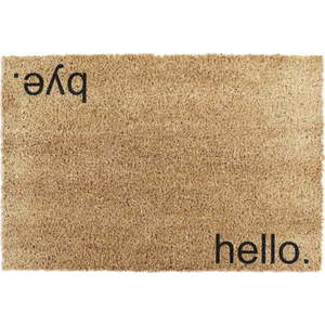 Rohožka z kokosového vlákna 40x60 cm Hello, Bye – Artsy Doormats obraz