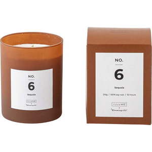 Vonná svíčka doba hoření 50 h No. 6 Sequoia – ILLUME x Bloomingville obraz