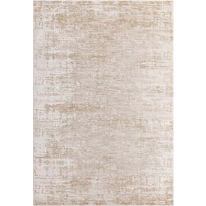 Béžovo-krémový koberec 200x300 cm Anders Beige Natural – Asiatic Carpets obraz