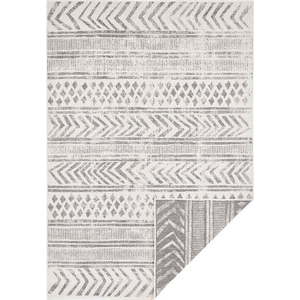 Šedo-krémový venkovní koberec NORTHRUGS Biri, 200 x 290 cm obraz
