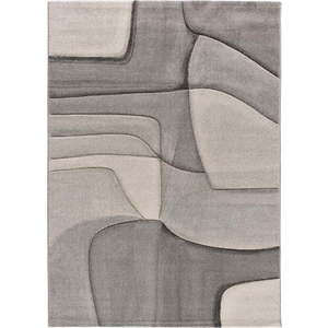 Šedý koberec 80x150 cm Medel – Universal obraz