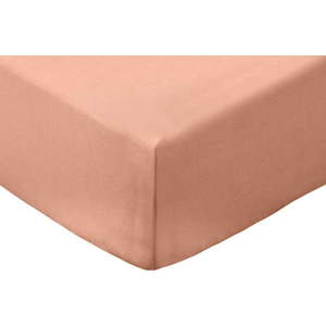 Napínací prostěradlo v terakotové barvě z bavlněného perkálu 185x200 cm Cotton Percale – Bianca obraz