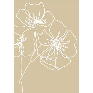 Plakát 29x41 cm White Poppy – Veronika Boulová obraz