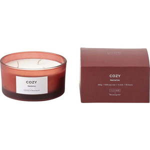 Vonná svíčka doba hoření 25 h Cozy Nectarine – ILLUME x Bloomingville obraz