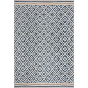 Žluto-modrý vnitřní a venkovní koberec 200x290 cm Zia Trellis – Flair Rugs obraz