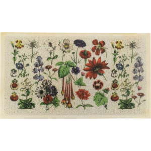 Rohožka 60x90 cm – Artsy Doormats obraz
