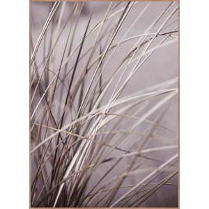 Obraz 50x70 cm Mellow Grasses 1 – Malerifabrikken obraz