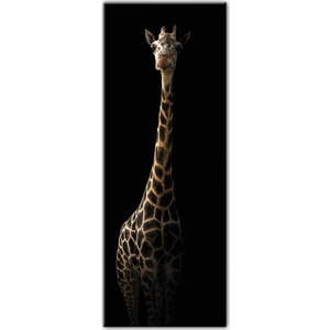 Obraz Styler Glas Animals Gira, 50 x 125 cm obraz