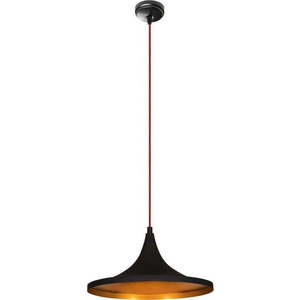Černé kovové závěsné svítidlo Opviq lights Leon obraz