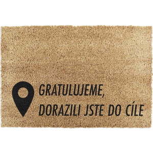 Rohožka z kokosového vlákna 40x60 cm Pin – Artsy Doormats obraz