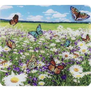 Kryt na zeď u sporáku z tvrzeného skla 50x56 cm – Maximex obraz