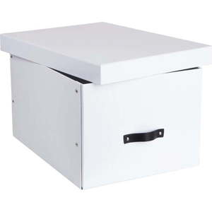 Kartonový úložný box s víkem Tora – Bigso Box of Sweden obraz