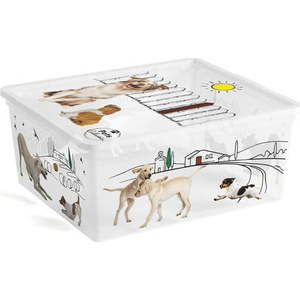 Bílý plastový úložný box s víkem 40x34x17 cm C Box Style – KIS obraz