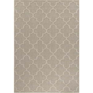 Béžový venkovní koberec 80x150 cm Patara – Ayyildiz Carpets obraz