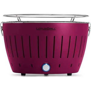 Přenosný gril na dřevěné uhlí ø 35 cm Classic – LotusGrill obraz