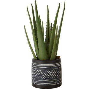 Umělá květina Fiori – Premier Housewares obraz