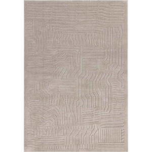 Béžový koberec 200x290 cm Valley – Asiatic Carpets obraz