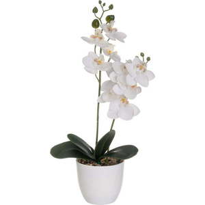Umělá květina (výška 39 cm) Orchid – Casa Selección obraz