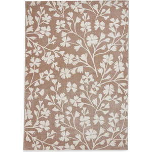 Světle hnědý koberec 120x170 cm Grace Floral – Catherine Lansfield obraz