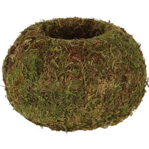 Květináč ø 14, 5 cm Kokedama – Esschert Design obraz