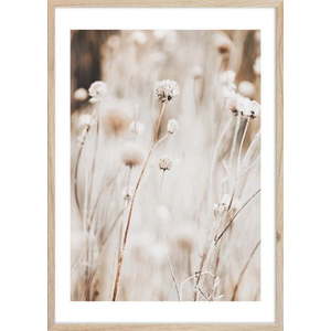 Obraz 50x70 cm Beige I – Styler obraz
