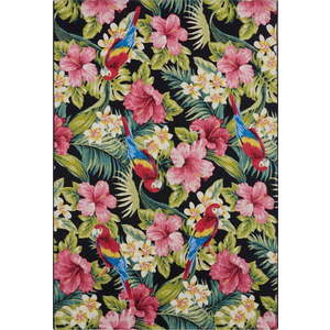 Venkovní koberec 80x165 cm Flair – Hanse Home obraz