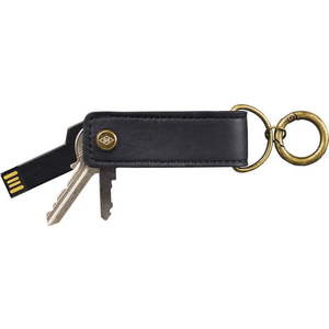 Rozlišovač klíčů s 16 GB USB diskem obraz