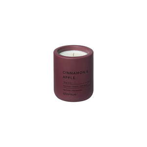 Vonná sojová svíčka doba hoření 24 h Fraga: Cinnamon & Apple – Blomus obraz