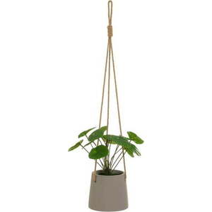 Umělá rostlina (výška 24 cm) Pilea – Casa Selección obraz