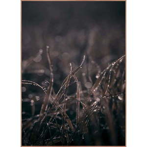 Obraz 50x70 cm Mellow Grasses 5 – Malerifabrikken obraz