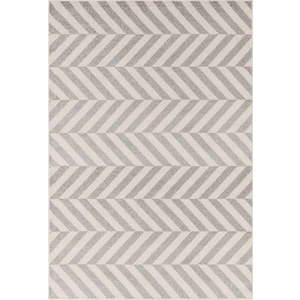 Světle šedý koberec 80x150 cm Muse – Asiatic Carpets obraz