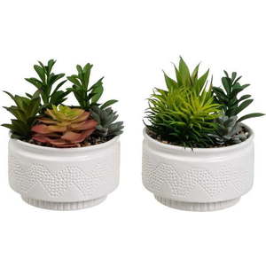 Umělé rostliny v sadě 2 ks (výška 19 cm) Cactus – Casa Selección obraz