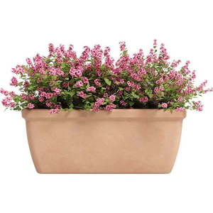 Truhlík terakota 32 cm Siza – Artevasi obraz
